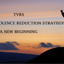 Trenton Violence Reduction Strategy Website
