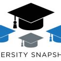 Diversity Snapshot